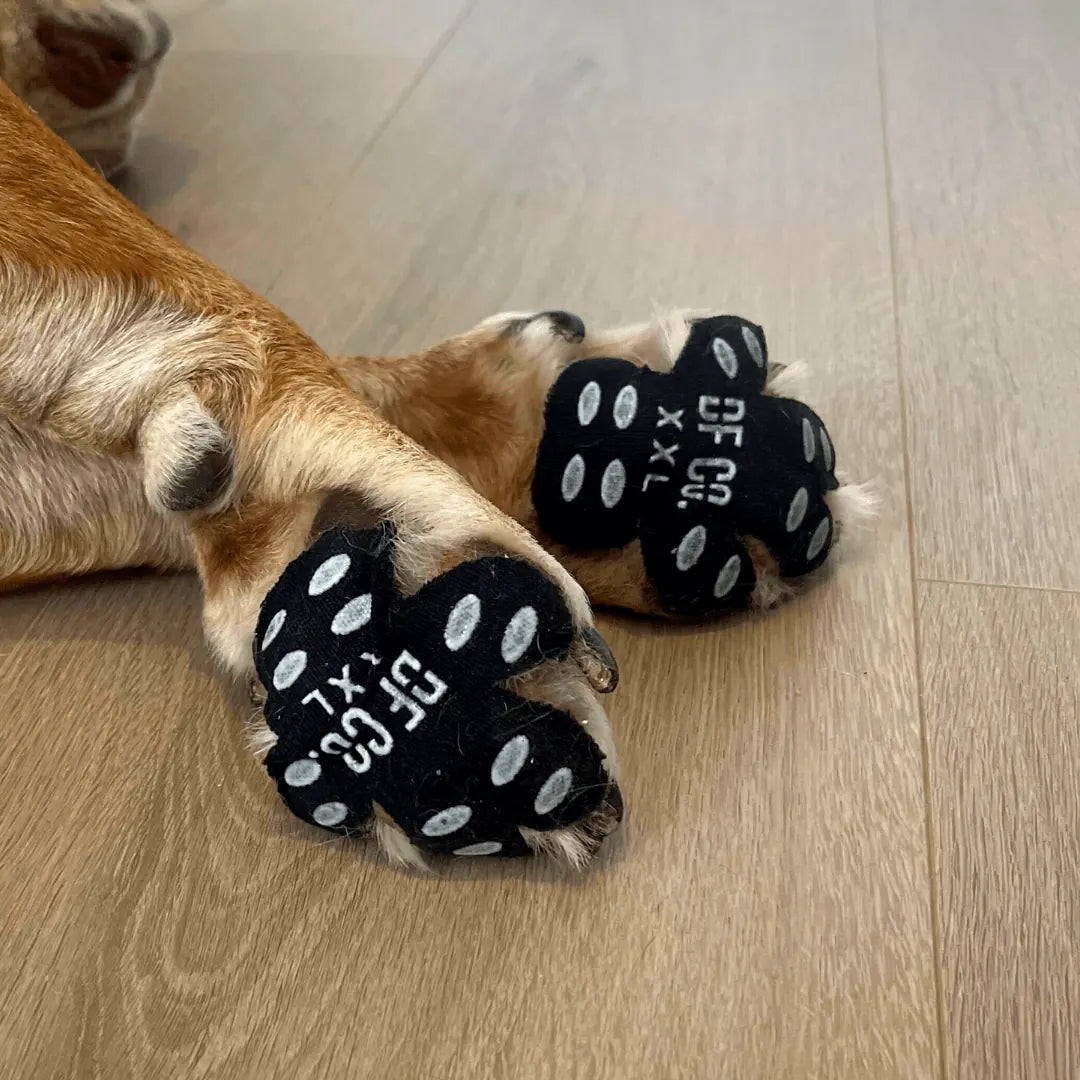 Two paw pads on a dog’s paws, no straps
