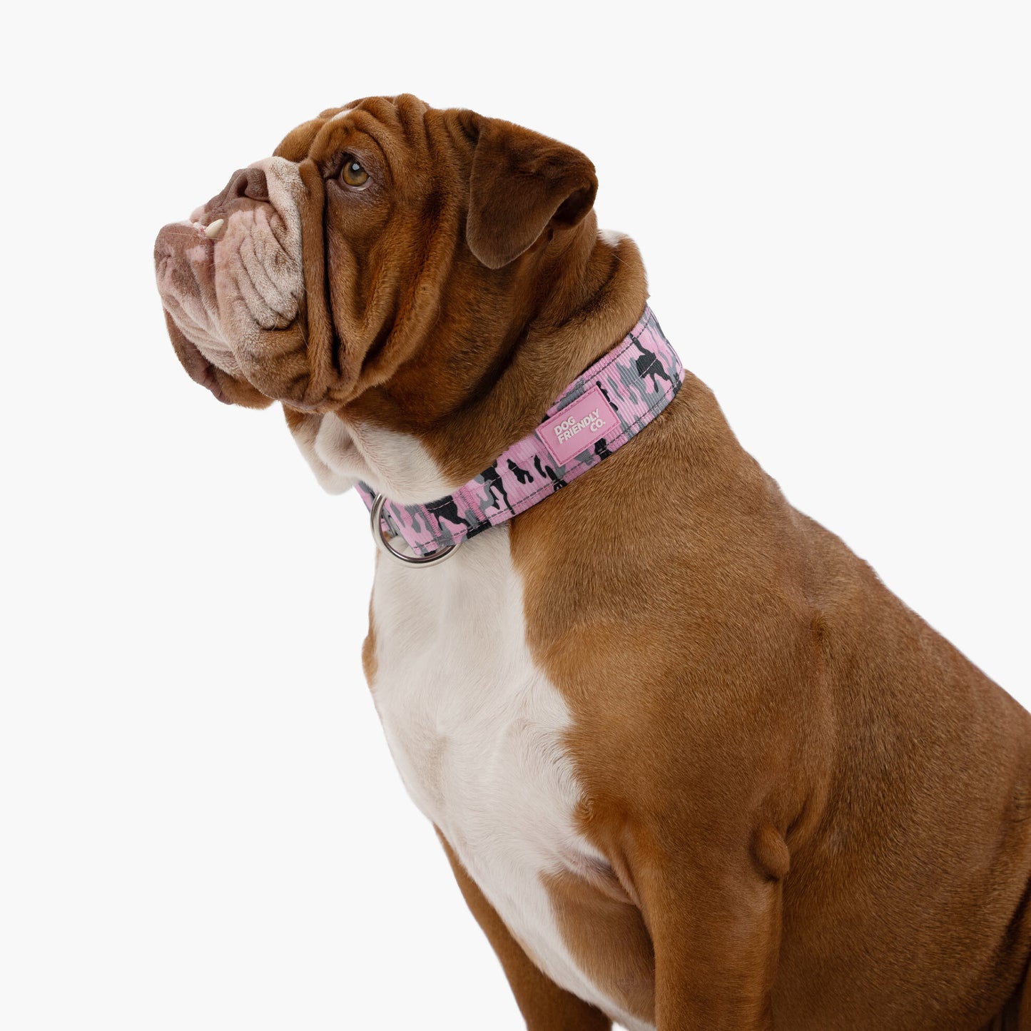 Taktisches Hundehalsband - Rosa Camouflage