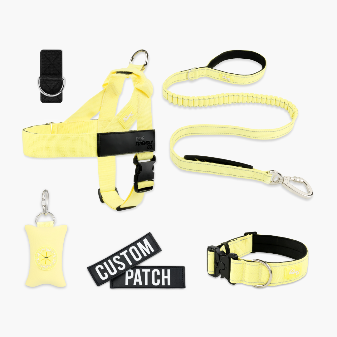 <h2>Spaziergangsbedarf</h2>