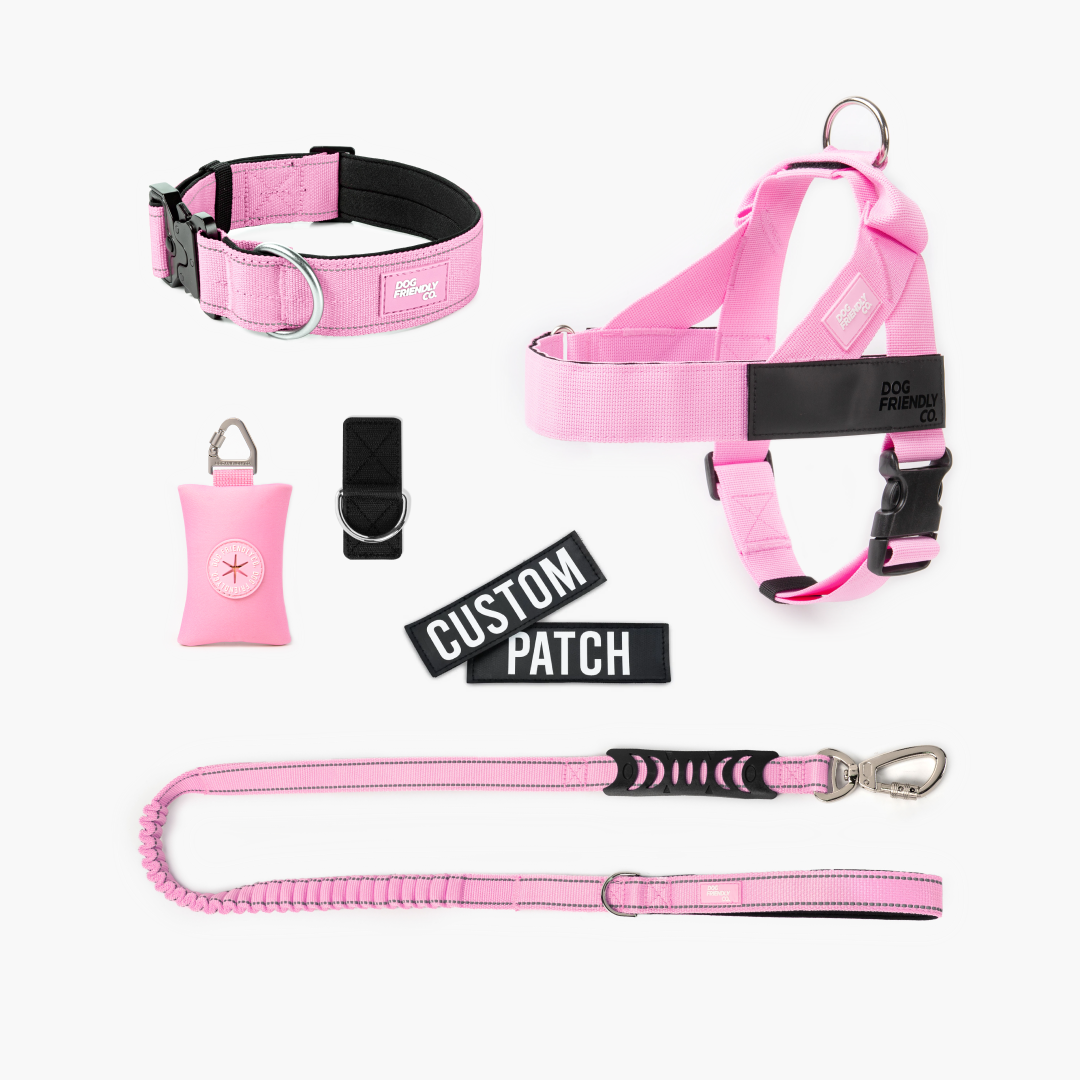 Walk Essentials: All Inclusive Dog Walk Bundle | Dog Friendly Co. DE