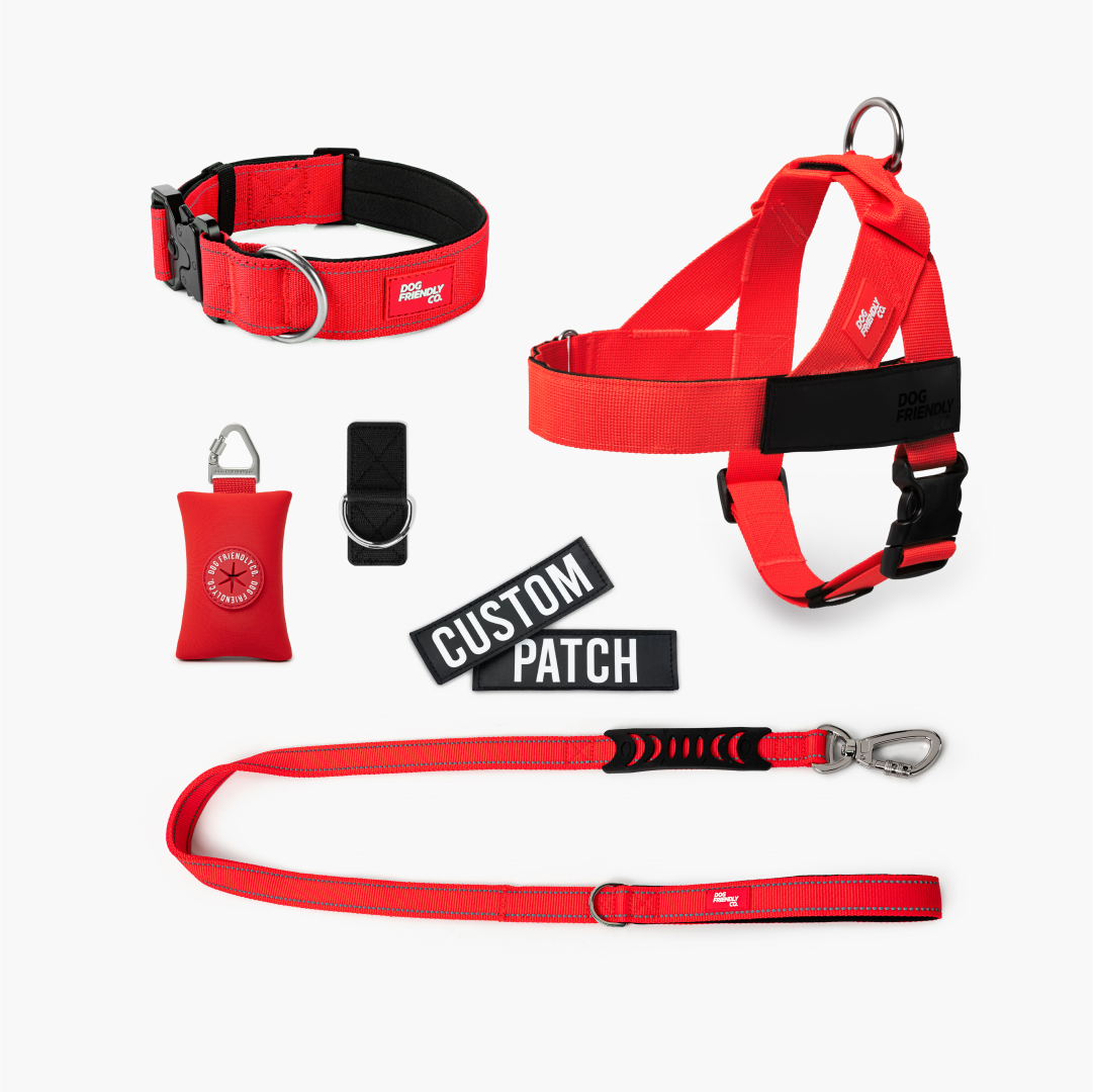 Walk Essentials - Rot