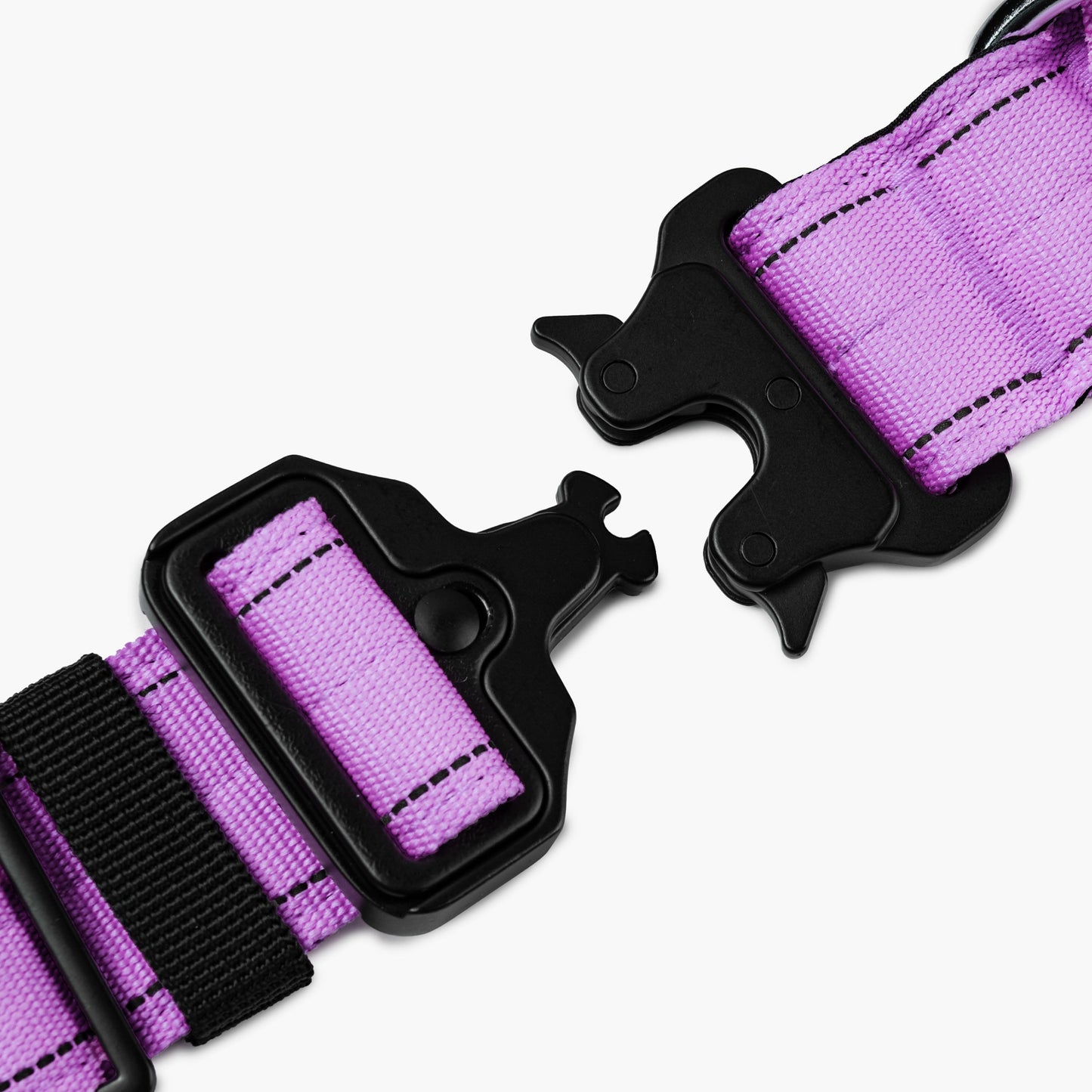 Taktisches Hundehalsband - Violett