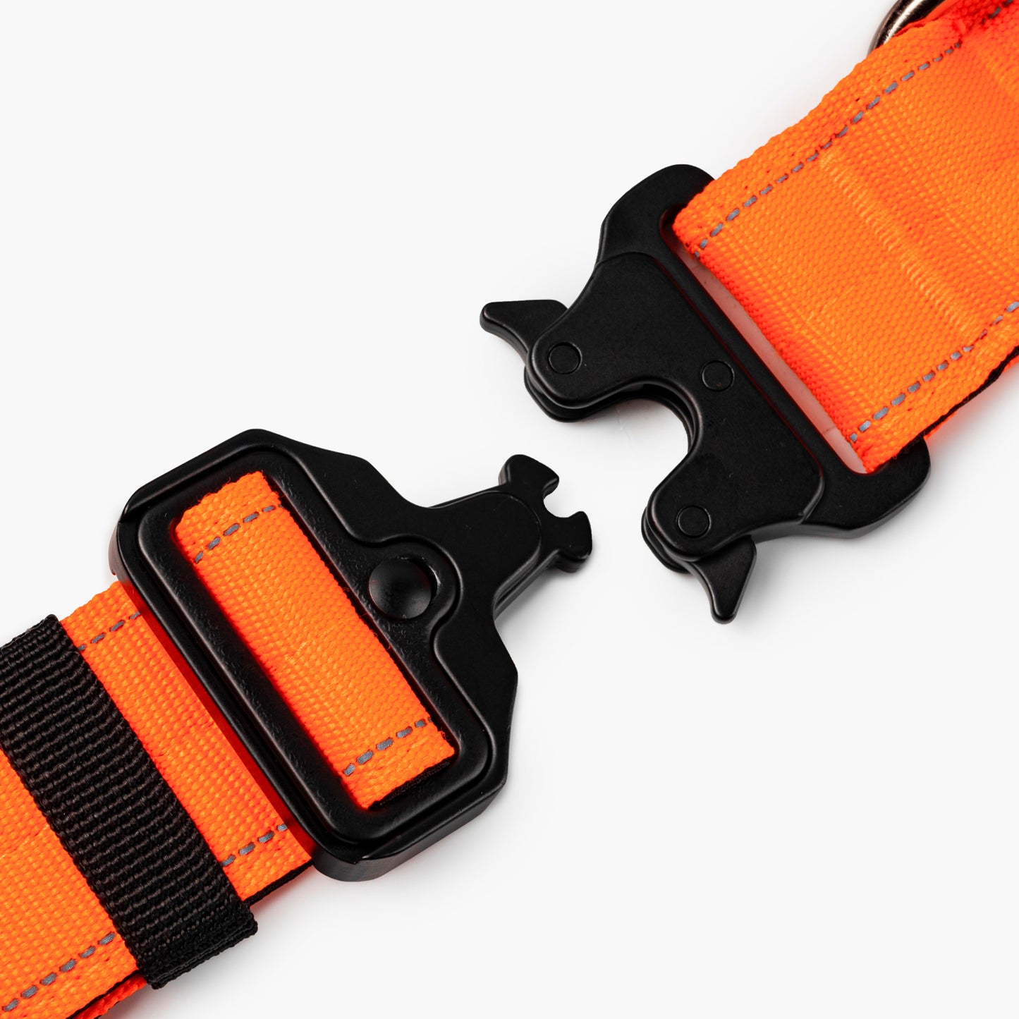 Taktisches Hundehalsband - Orange