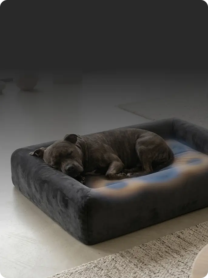 Won't Overheat, Stays Comfortable